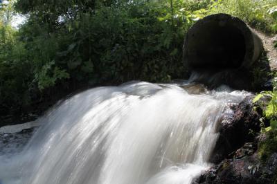 ЖКХ «Заборье» нарушило требования природоохранного законодательства