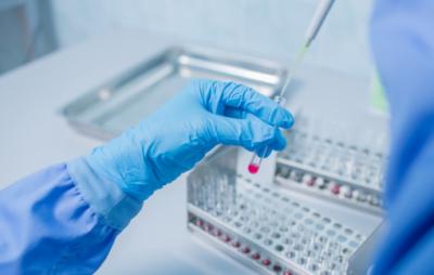 Близ Рыбного нашли биологические отходы