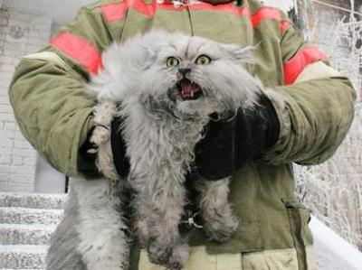 Рязанский прапорщик Александр Петрухин вынес из огня даже двух кошек