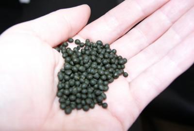 Юные рязанцы подсаживаются на насвай