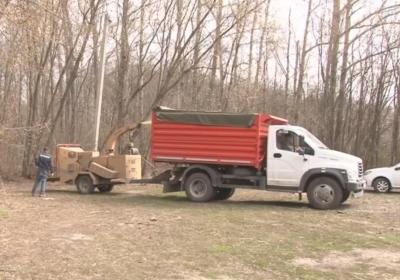 В Лесопарке Рязани начали вырубать сухостой