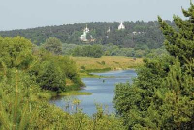 Администрация Рязани не предоставляла лесные участки для строительства в Солотче