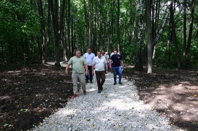 Лесопарк Рязани благоустроили на 50%