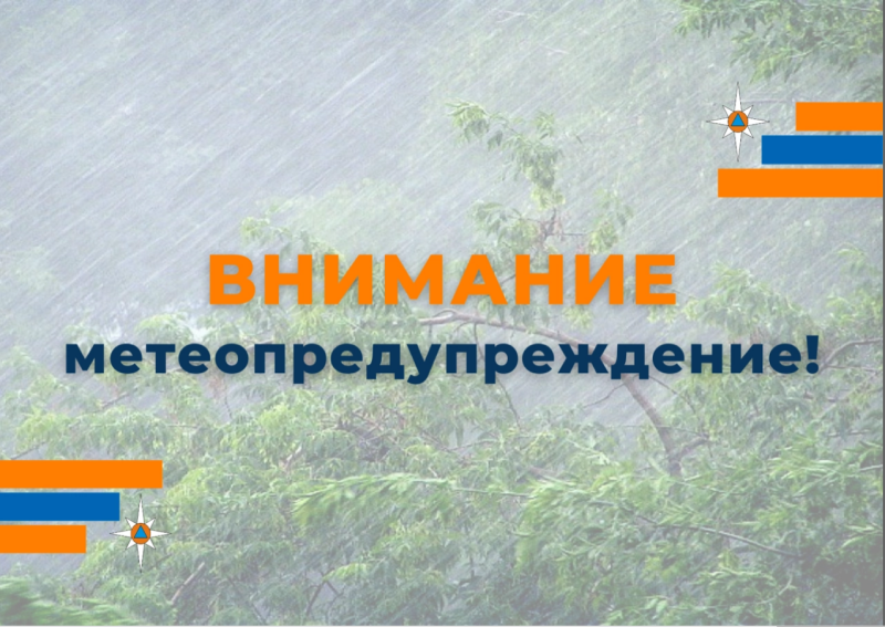 Рязанцев предупредили о грозе и кратковременных ливнях