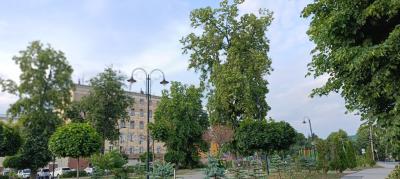 В рязанском регионе потеплеет до 23 градусов