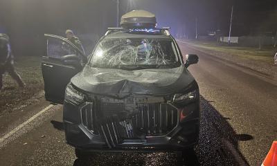 В Рязанской области задавили трёх пешеходов