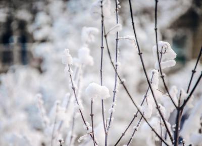 На Рязанщине ожидается небольшой снег и ветер переменных направлений