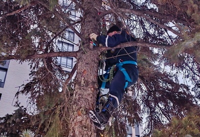 Фото: страница «МСО РязГМУ «Salus» им. В.И. Васильева» в соцсети «ВКонтакте»