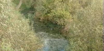 На речке Павловке в Рязани появились масляные пятна