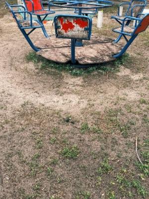 Жители Солотчи пожаловались на выгуливающего гусей соседа 