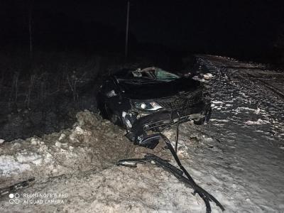 Близ Кадома иномарка сбила лося