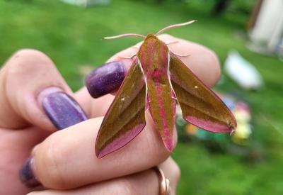 Фото: пользователь соцсети «ВКонтакте» Мария Девяткина