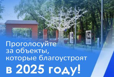 Более 65 тысяч рязанцев проголосовали за объекты благоустройства в 2025 году