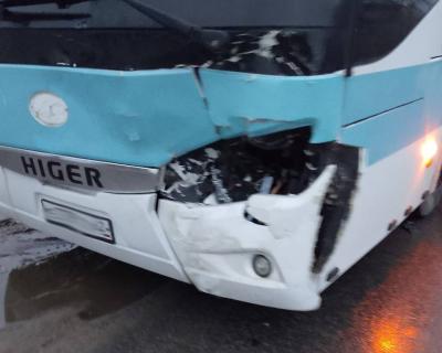 В Шилово пассажирский автобус задавил корову