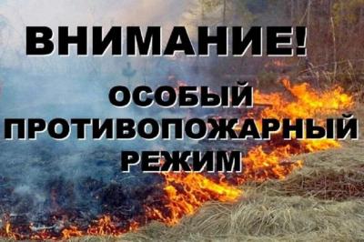 В Рязани ввели особый противопожарный режим