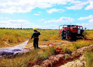 На территории лесничества в Сасовском районе потушили условный пожар