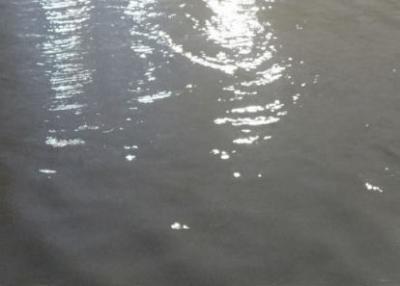 На пересечении улиц Молодцова и Космонавтов разлилась вода