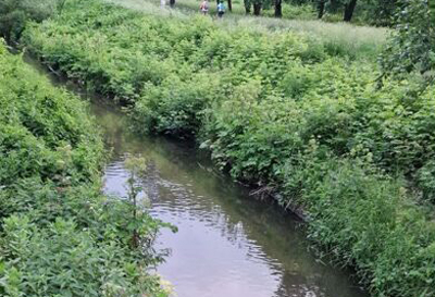 В Рязани обследуют реку Лыбедь