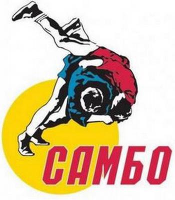 Рязанские самбисты успешно выступили на первенстве ЦФО в Московской области