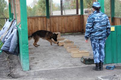 В УФСИН Рязанской области определили лучших кинологов
