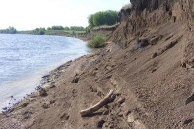 Под Рязанью обнаружили метровый бивень мамонта