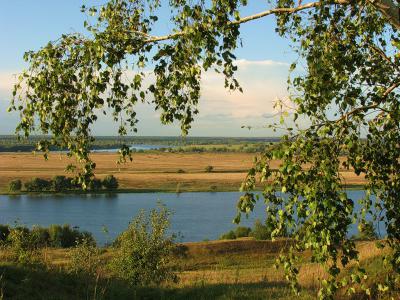 Схему территориального планирования Рязанской области изменят