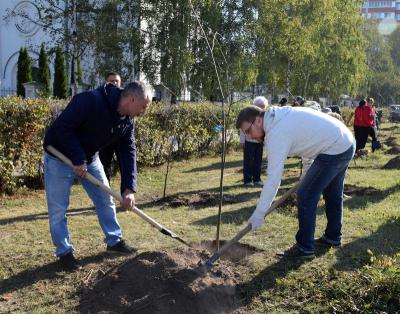 Работники РНПК совместно с волонтёрами высадили саженцы деревьев в Рязани