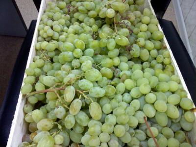 В Рязани раздавили чёртову дюжину ящиков турецкого винограда