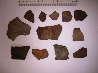 В Спасском районе археологи обнаружили фрагменты посуды бронзового века