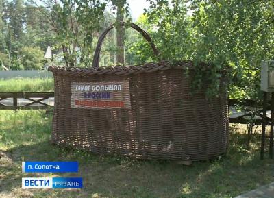 В Солотче установили самую большую корзину из лозы