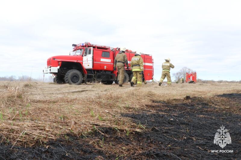 Рязанцев ожидают крупные штрафы за палы травы