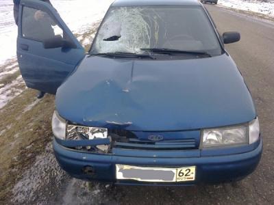 В первый день 2014 года в Рязанской области были сбиты насмерть два пешехода