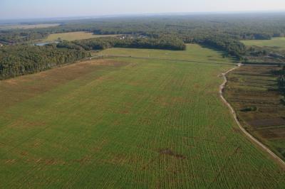 Рыбновский депутат продал своим детям кооперативную землю за копейки