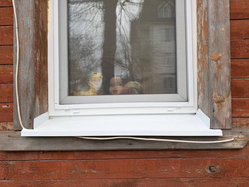 Рязанцам предлагают тематически украсить окна в рамках акции «Окна Победы»