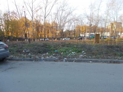 Жителей частного сектора посёлка Ворошиловка призывают к чистоте