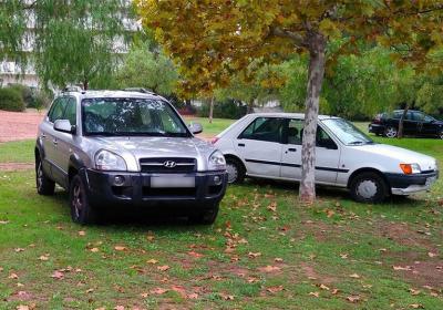 С начала года сумма штрафов за парковку на газонах в Рязани превысила 2 миллиона рублей