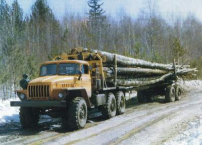 В Рязанской области проверили лесовозы