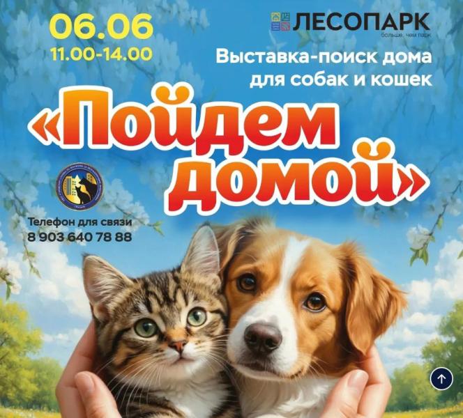 В Рязани пройдёт ещё одна выставка-пристройство животных «Пойдем домой»