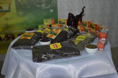 Рязанский чай доберётся до Сочи