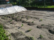 IMG_20200604_173354.jpg title=