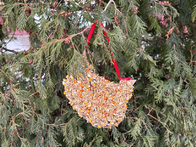 После Рязани Новогодней столицей России станет Вологда