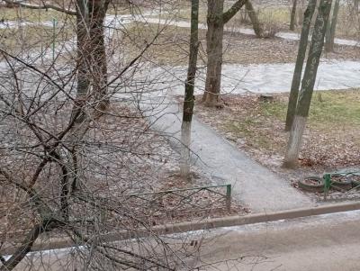 Рязанцам прогнозируют мокрый снег