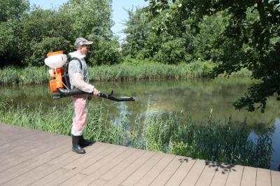 Водоёмы Рязани обрабатывают от личинок комаров