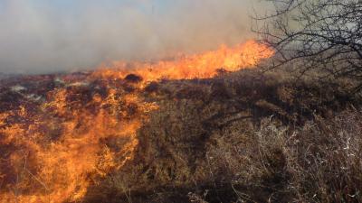 Фото: ИД «Пресса»