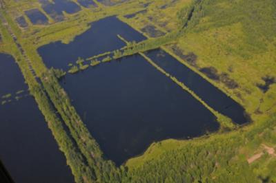 На Рязанщине мероприятия по предупреждению торфяных пожаров выполнены на треть