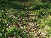 IMG-20201008-WA0027.jpg title=