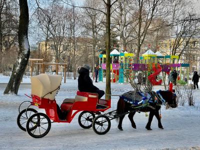 Администрация Рязани рассказала о фотозонах в Наташином парке