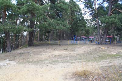 Лысую гору в этом году благоустраивать не будут