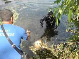 Из пруда в Ермишинском районе достали тело мужчины
