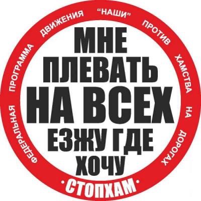 Полиция проверяет инцидент с участием активистов «Стопхам» в Лесопарке